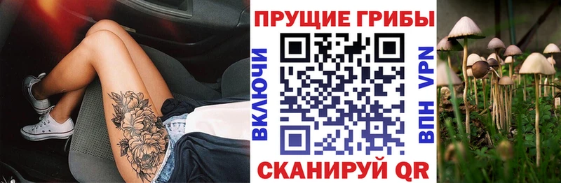 Купить закладки  Луховицы  Псилоцибиновые грибы GOLDEN TEACHER 
